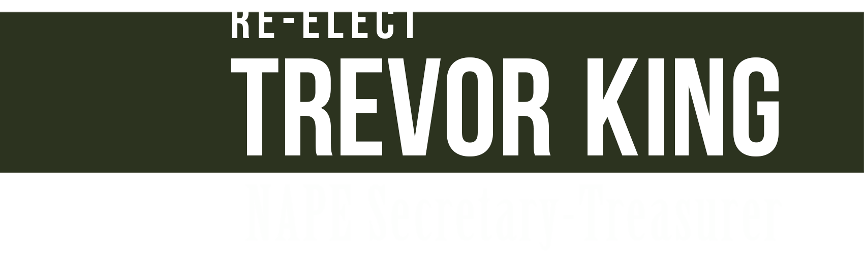 Re-elect Trevor King 2